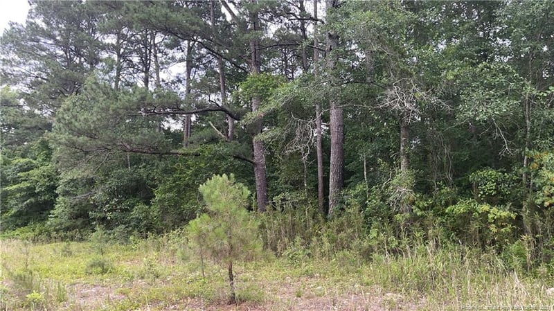 0 Sanderosa Rd #0477-88-1702, Fayetteville, NC 28312