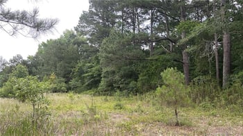 0 Sanderosa Rd #0477-88-1702, Fayetteville, NC 28312