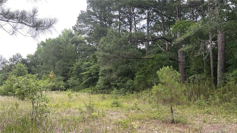 0 Sanderosa Rd #0477-88-1702, Fayetteville, NC 28312