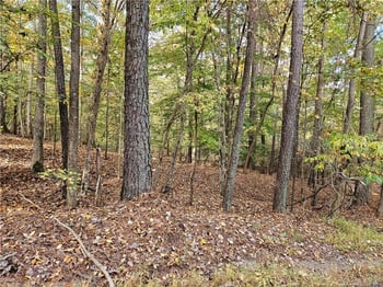 0 Sandy Creek Church Rd, Sanford, NC 27330