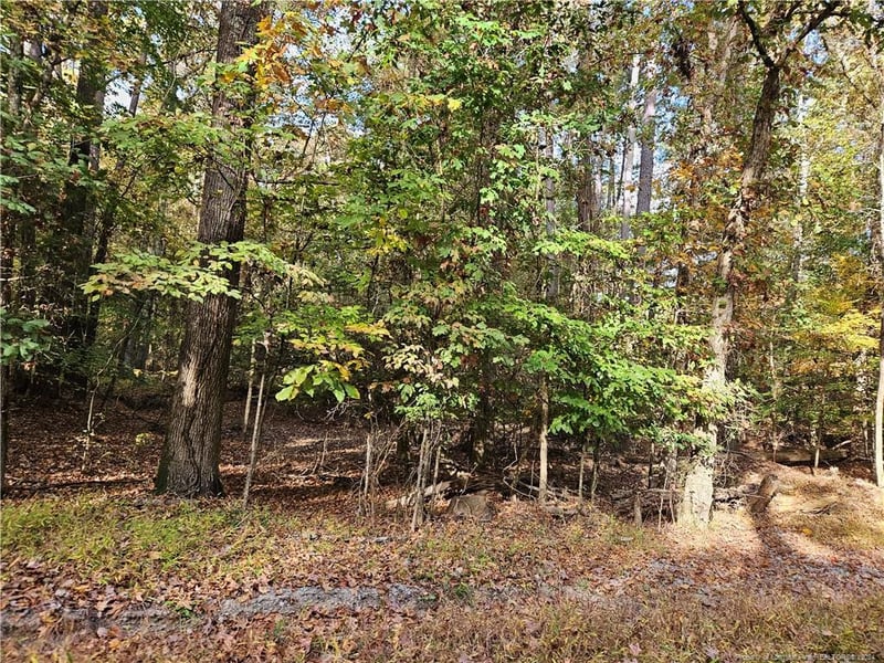 0 Sandy Creek Church Rd, Sanford, NC 27330