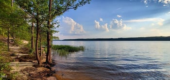 Scottie Dr, Creedmoor, NC 27522