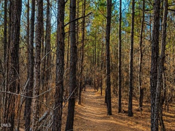 0 Scottie Dr Lot N/A, Creedmoor, NC 27522