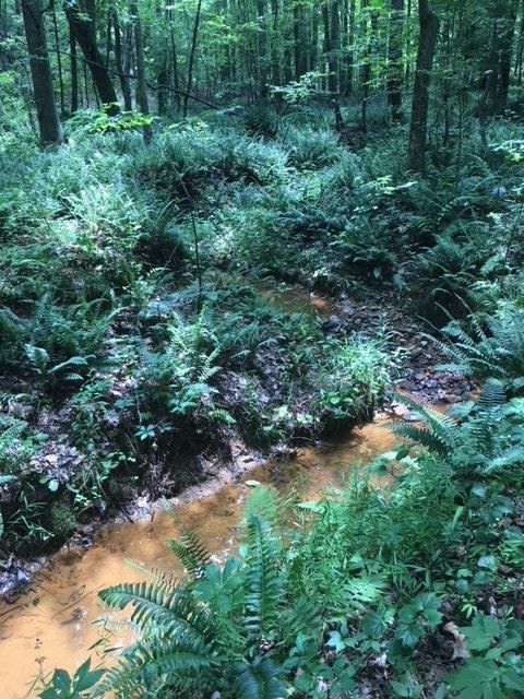 0 Sheep Rock Rd, Snow Camp, NC 27349