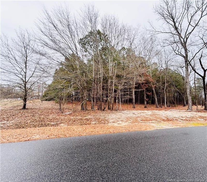 Shelton Beard Rd, Fayetteville, NC 28312