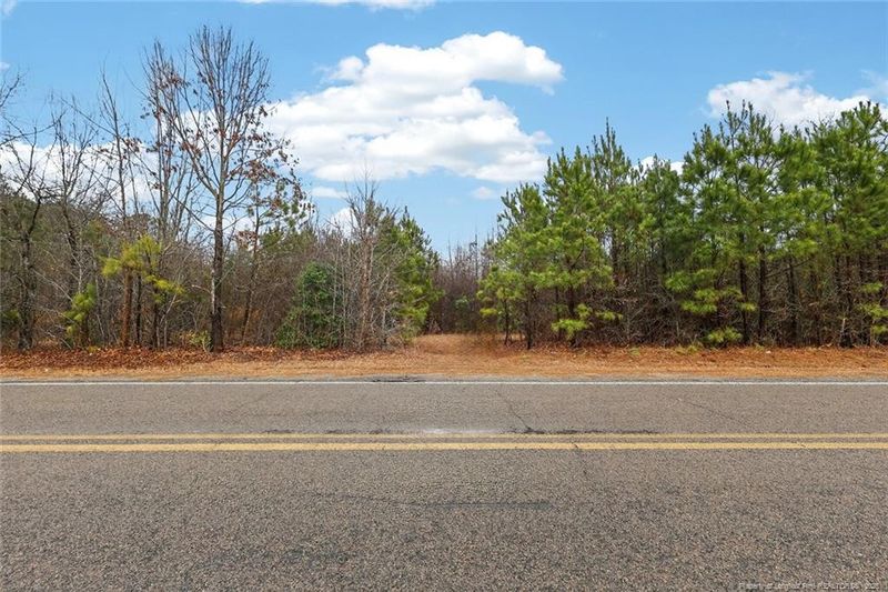 0 Sheriff Watson Rd, Sanford, NC 27332