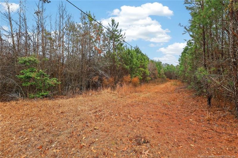 0 Sheriff Watson Rd, Sanford, NC 27332