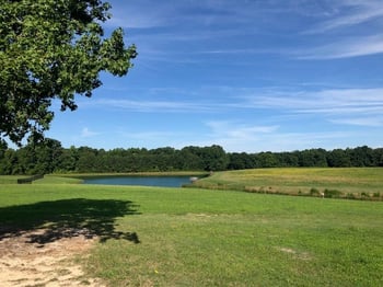 Simply Country Ln, Lillington, NC 27546