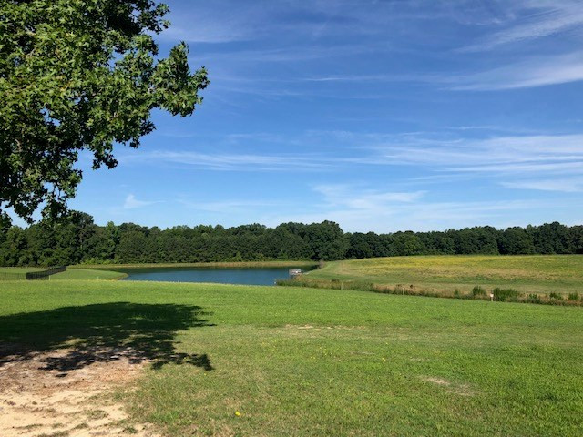 Simply Country Ln, Lillington, NC 27546