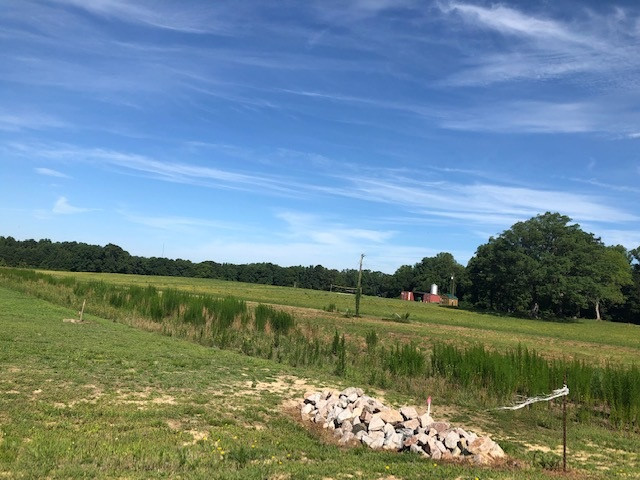 Simply Country Ln, Lillington, NC 27546