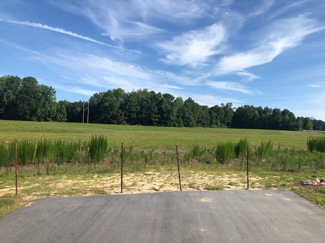 Simply Country Ln, Lillington, NC 27546