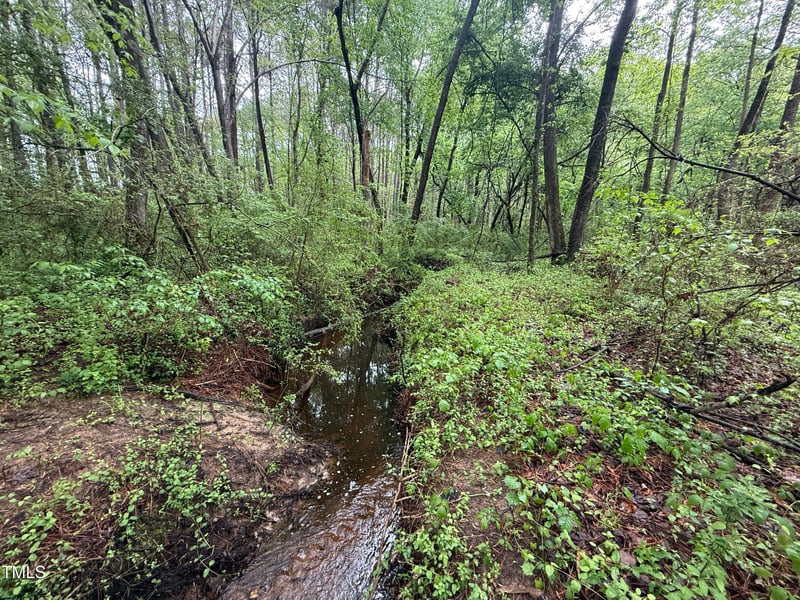0 Stallings Mill Rd, Louisburg, NC 27549