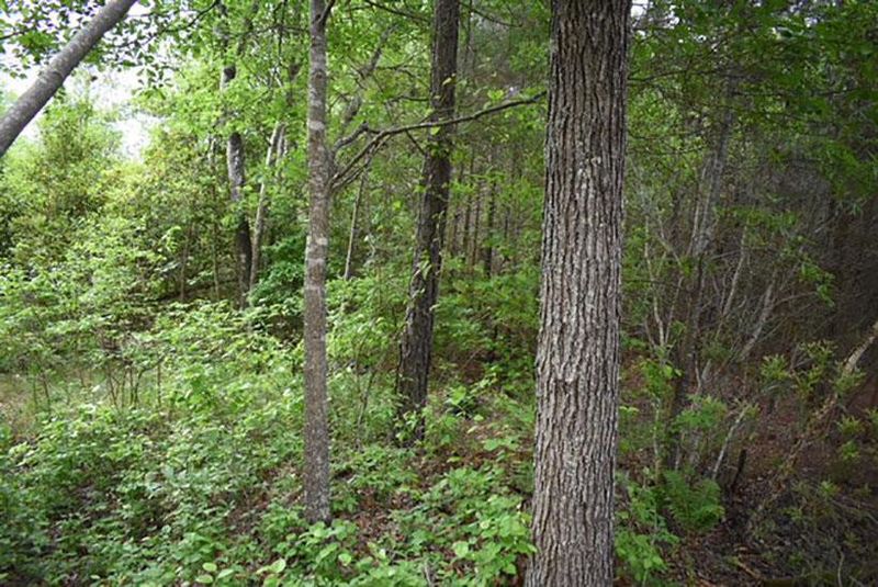 0 Stallings Rd, Zebulon, NC 27597