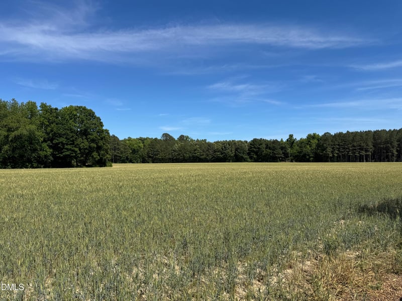 Stevens Sausage Rd, Smithfield, NC 27577