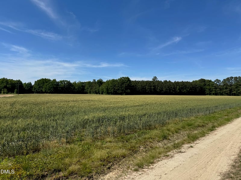 Stevens Sausage Rd, Smithfield, NC 27577