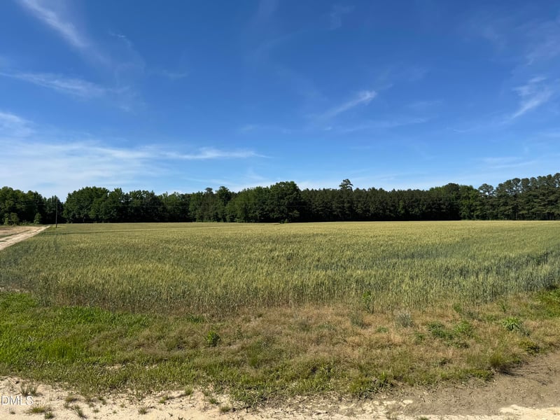 Stevens Sausage Rd, Smithfield, NC 27577