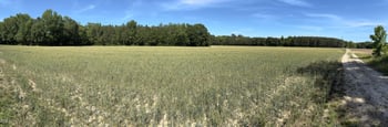 Stevens Sausage Rd, Smithfield, NC 27577