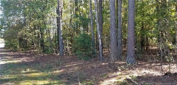0 Stone Coal Dr, Fayetteville, NC 28311