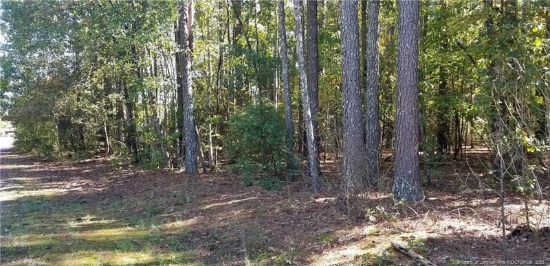 0 Stone Coal Dr, Fayetteville, NC 28311