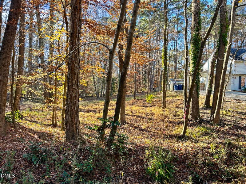Sutphin Dr Lot 2, Sanford, NC 27330