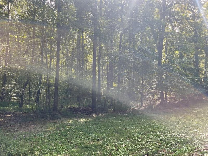 0 Swannie Coble Rd Lot 16, Snow Camp, NC 27349