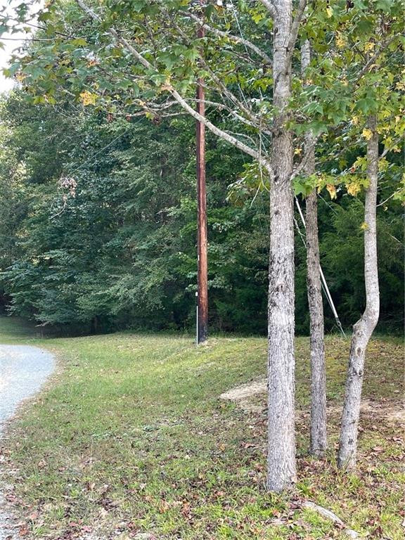 0 Swannie Coble Rd Lot 16, Snow Camp, NC 27349
