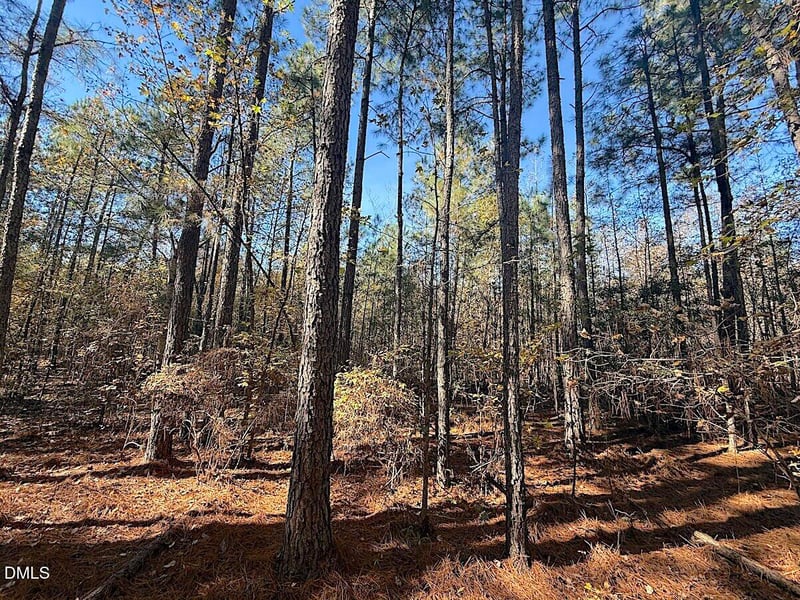 0 T Tarpey Ln, Sanford, NC 27330