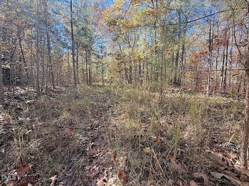 T Tarpey Ln, Sanford, NC 27330