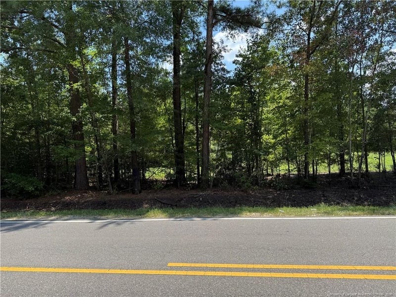 Tabor Church Rd, Fayetteville, NC 28312