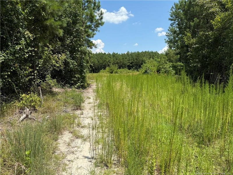 Tabor Church Rd, Fayetteville, NC 28312