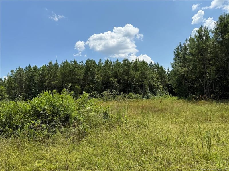 Tabor Church Rd, Fayetteville, NC 28312