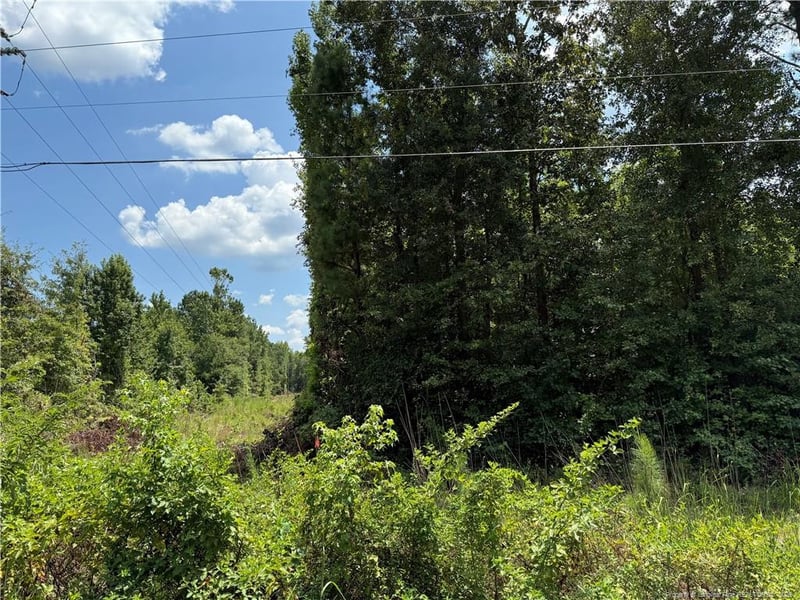 Tabor Church Rd, Fayetteville, NC 28312