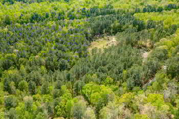 Talicud Trl, Apex, NC 27539