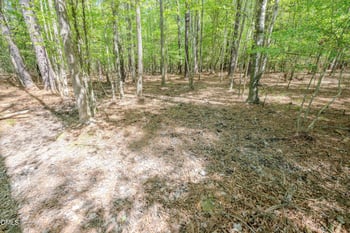 Talicud Trl, Apex, NC 27539