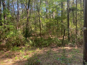 Tbd , Fayetteville, NC 28303