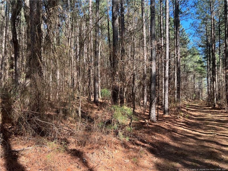 Tempting Church Rd, Sanford, NC 27330