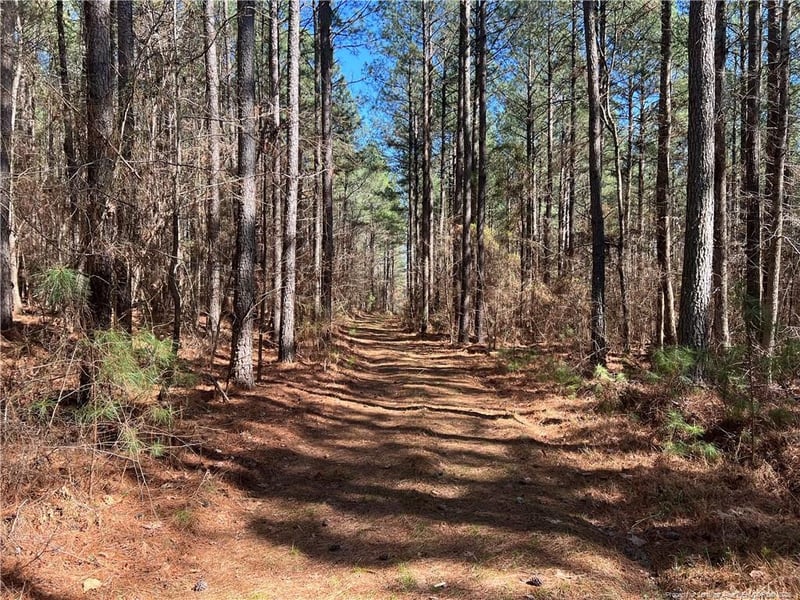Tempting Church Rd, Sanford, NC 27330
