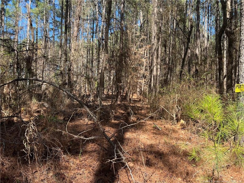 Tempting Church Rd, Sanford, NC 27330