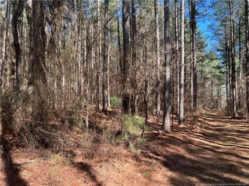 Tempting Church Rd, Sanford, NC 27330