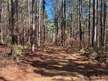 Tempting Church Rd, Sanford, NC 27330