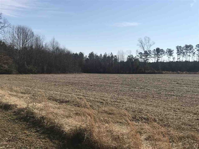 0 Thomas Arnold Rd Lot 1, Zebulon, NC 27597