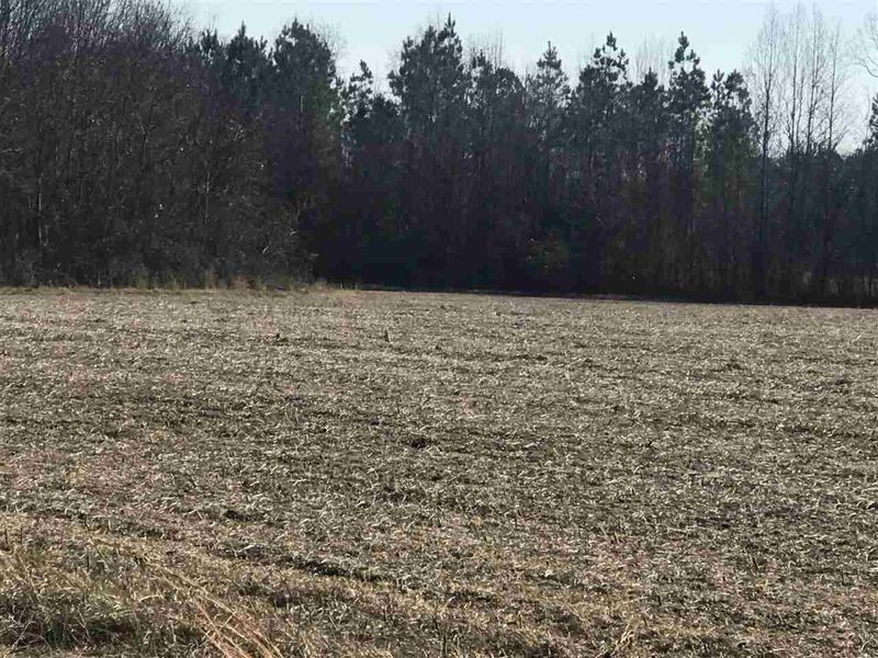 0 Thomas Arnold Rd Lot 1, Zebulon, NC 27597