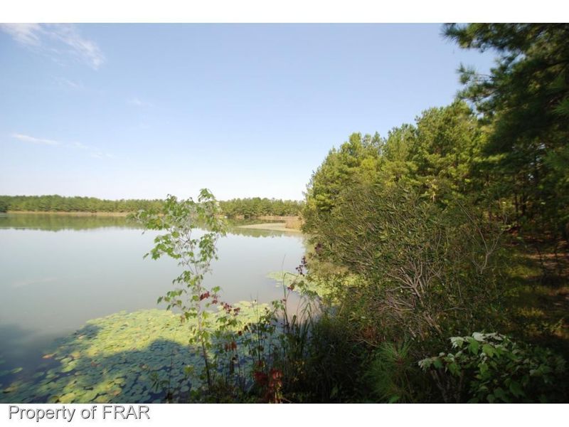 0 Titan Roberts Rd, Lillington, NC 27546
