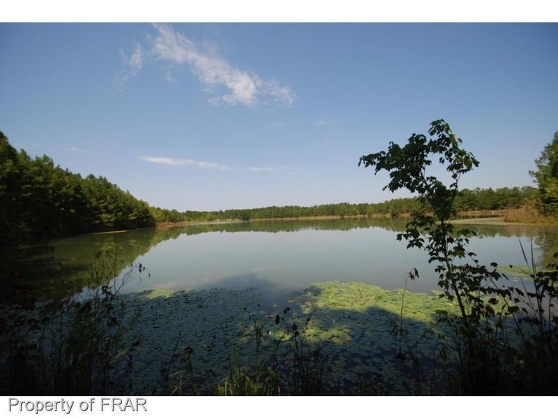 0 Titan Roberts Rd, Lillington, NC 27546