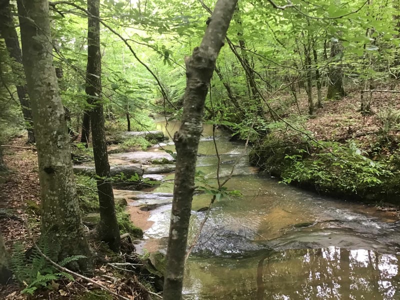 0 Tom Wright Rd, Franklinton, NC 27525