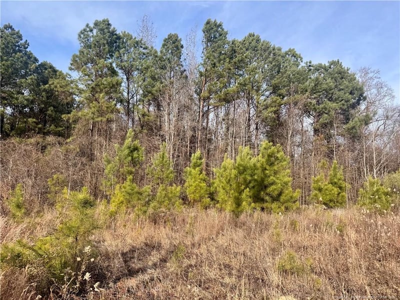 Tramway Rd, Sanford, NC 27330