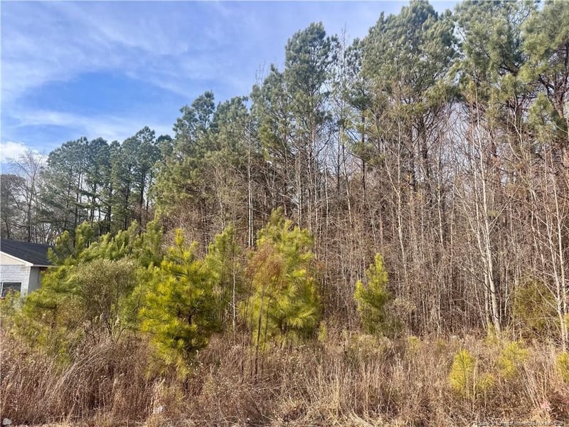 Tramway Rd, Sanford, NC 27330