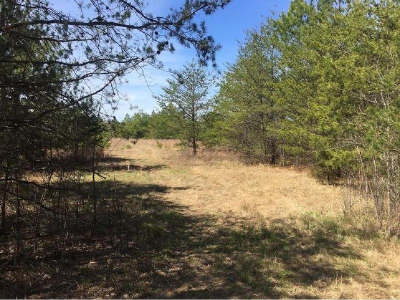 0 Trollingwood Rd, Haw River, NC 27258