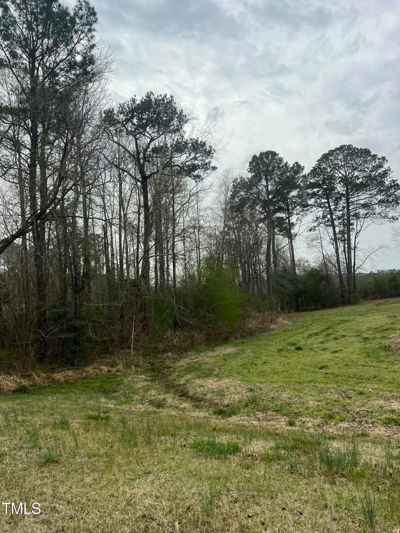 0 Trouble Rd, Willow Springs, NC 27592