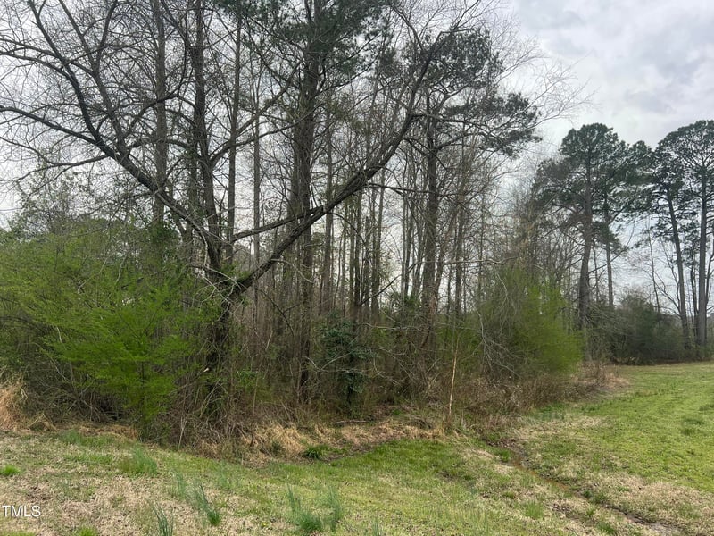 0 Trouble Rd, Willow Springs, NC 27592